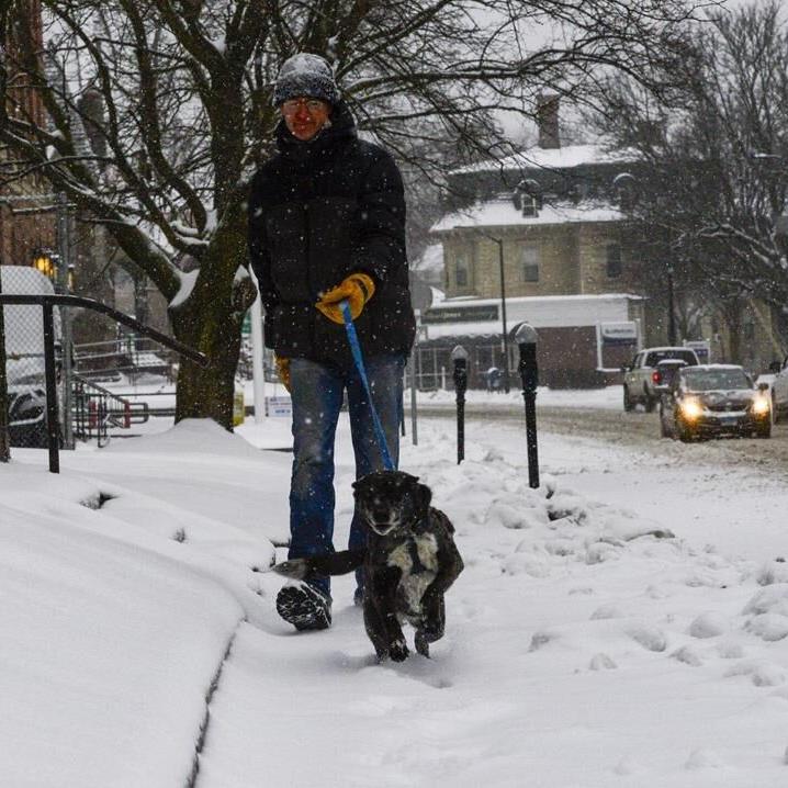 Hardy souls across New England and New York dig out after major winter storm
